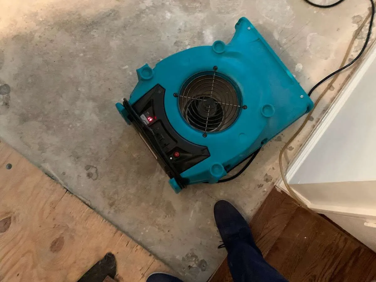 Air mover drying subfloor during Leak Detection & Repair in Zeeland